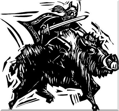 Holy boar