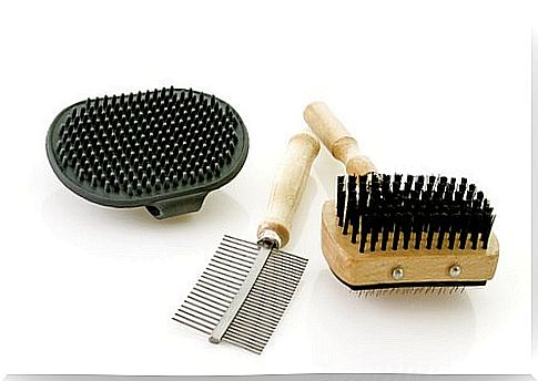 Use brushes to remove your dog's hair from clothing