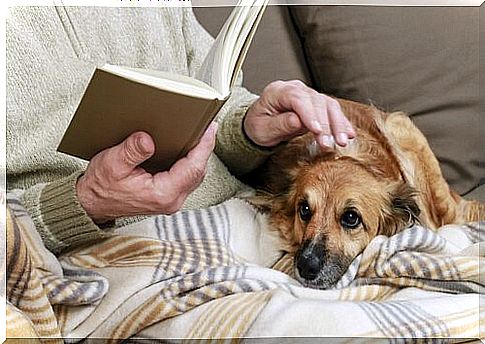 Grandfather sometimes reads a story to the dog