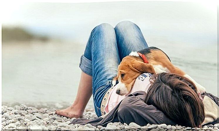 Abused women - woman and dog cuddling