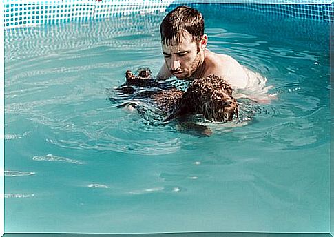 Puppies learning to swim in the pool