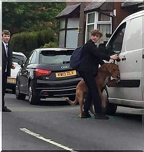 Bradley, the teenager who saved a dog from hanging on its own leash