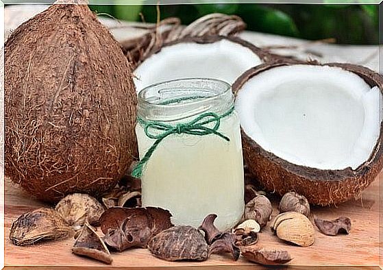 Coconut Oil For Dogs: 3 Beneficial Properties