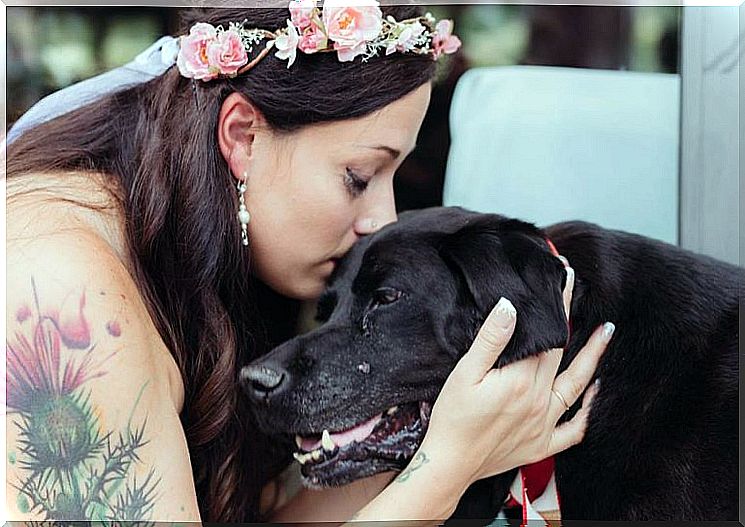 Dog with brain tumor dies after the wedding of his mistress