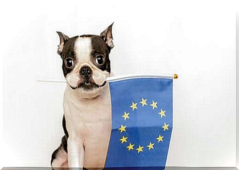 European Convention for the Protection of Pets