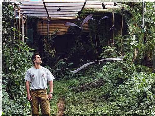 Henry Cavill im Durrell Wildlife Conservation Trust