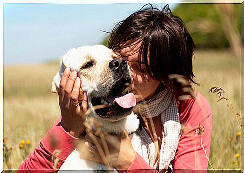 Dog is in pain and is comforted by a woman