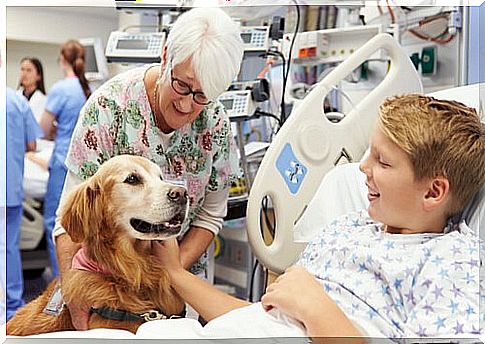 How do dogs help children in the hospital?