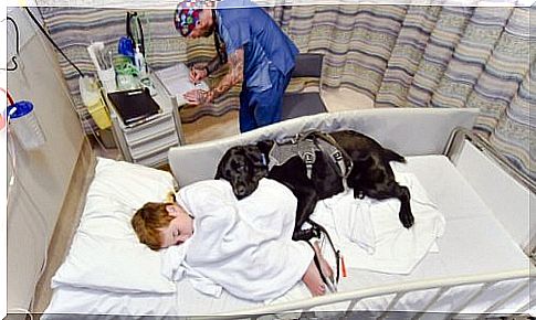 Dog in hospital with autistic owner