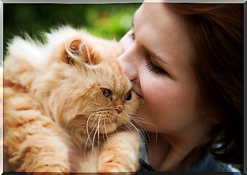 Cat and mistress love each other