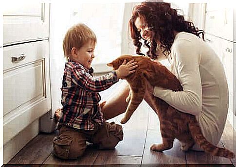 Influence of pets on our lives