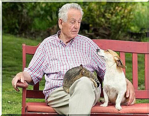 Man with dog and cat