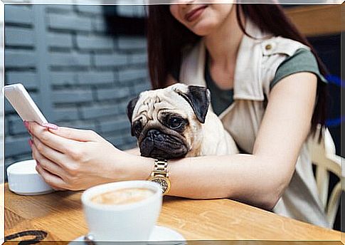 Millennials and Pets: An Atypical Relationship