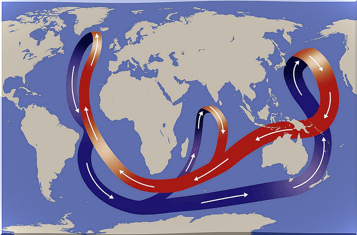 Ocean currents circulate water all over the planet