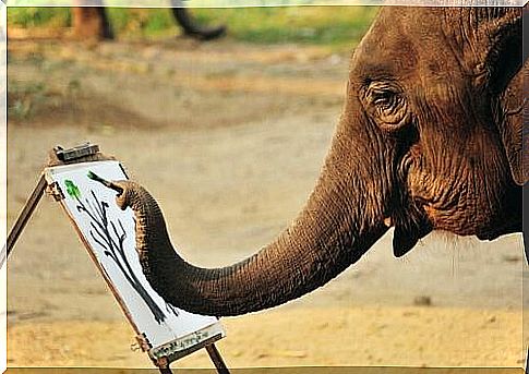 Painting elephants: is this cruelty to animals?