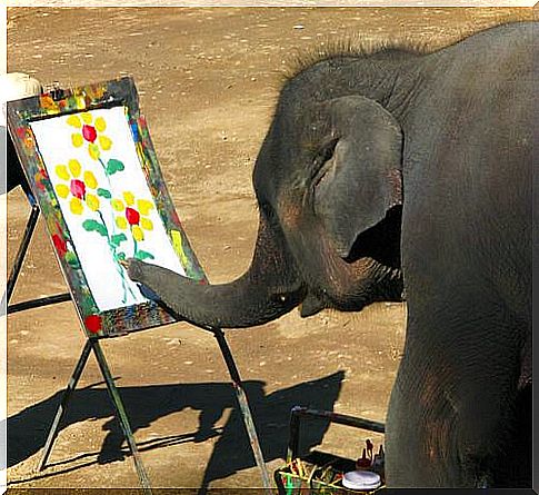 Painting elephants are often mistreated.