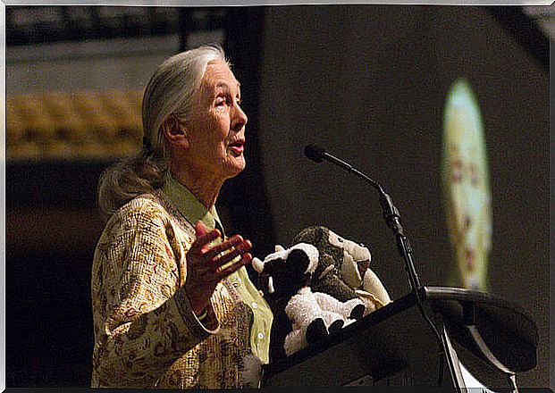 Jane Goodall