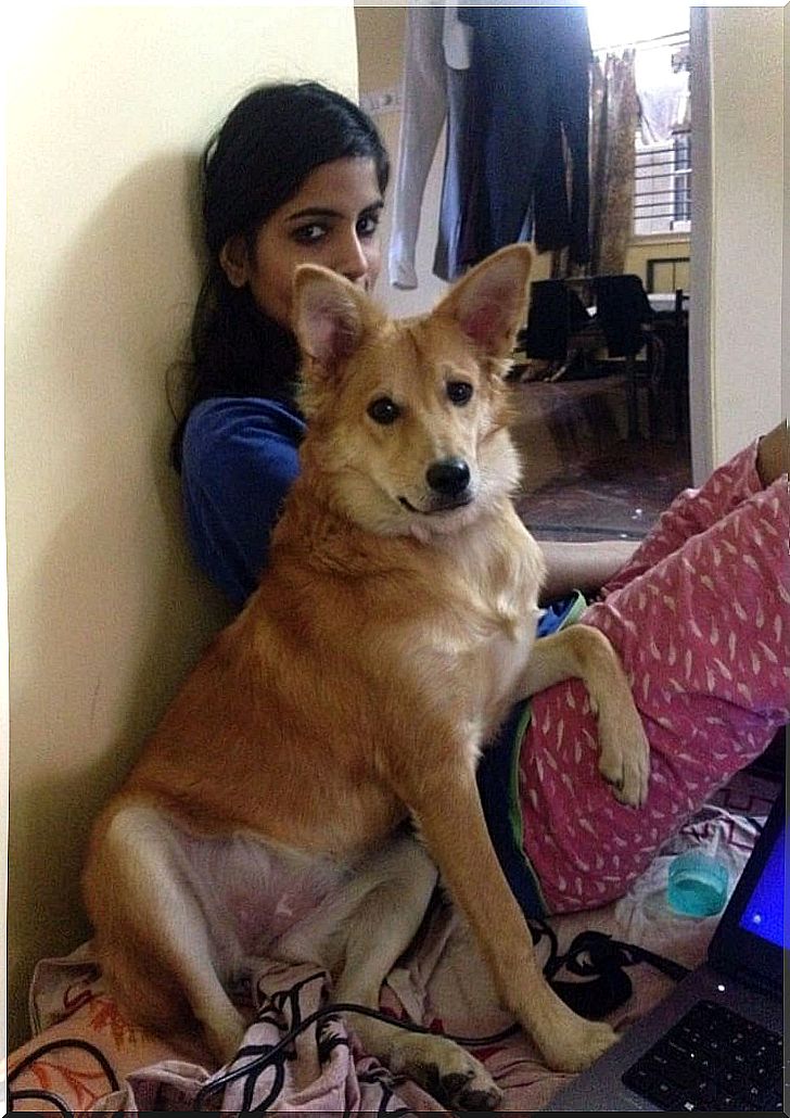 She had to turn down a marriage proposal in order not to lose her dog - Karishma and Lucy