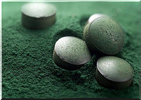 Spirulina For Dogs: What Are The Health Benefits Of This Diet Supplement?