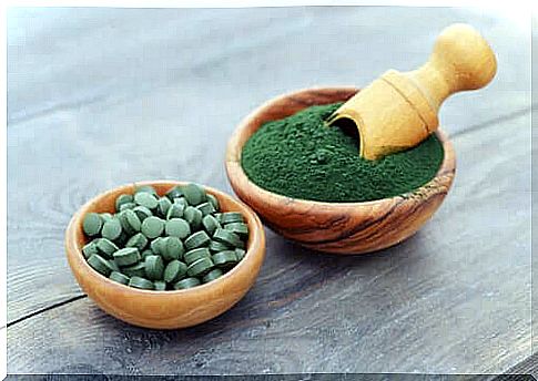 Health Benefits of Spirulina for Dogs