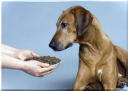 Do not mix different types of dog food