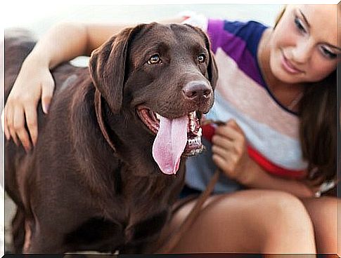 Man's best friend - dog and owner