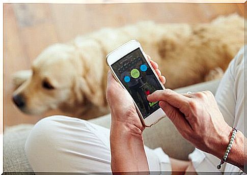 The five best apps for you and your dog