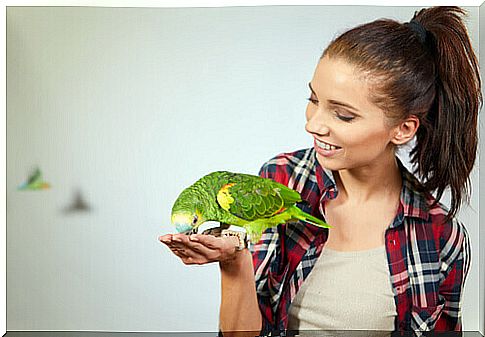 The surprising cognitive abilities of parrots