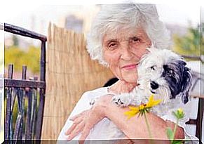 Dogs for the elderly give self-esteem.