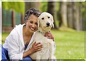 Dogs for the elderly keep people active.