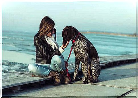 Woman sitting with pointer on the waterfront