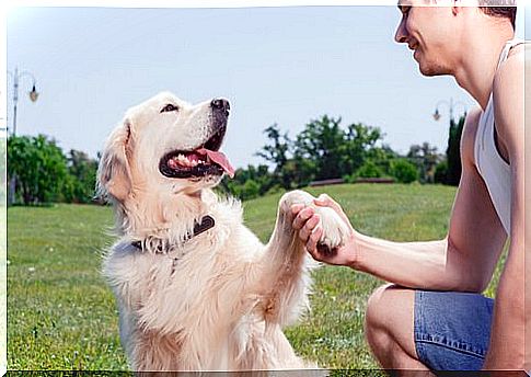 Your dog can tell if you are happy or angry